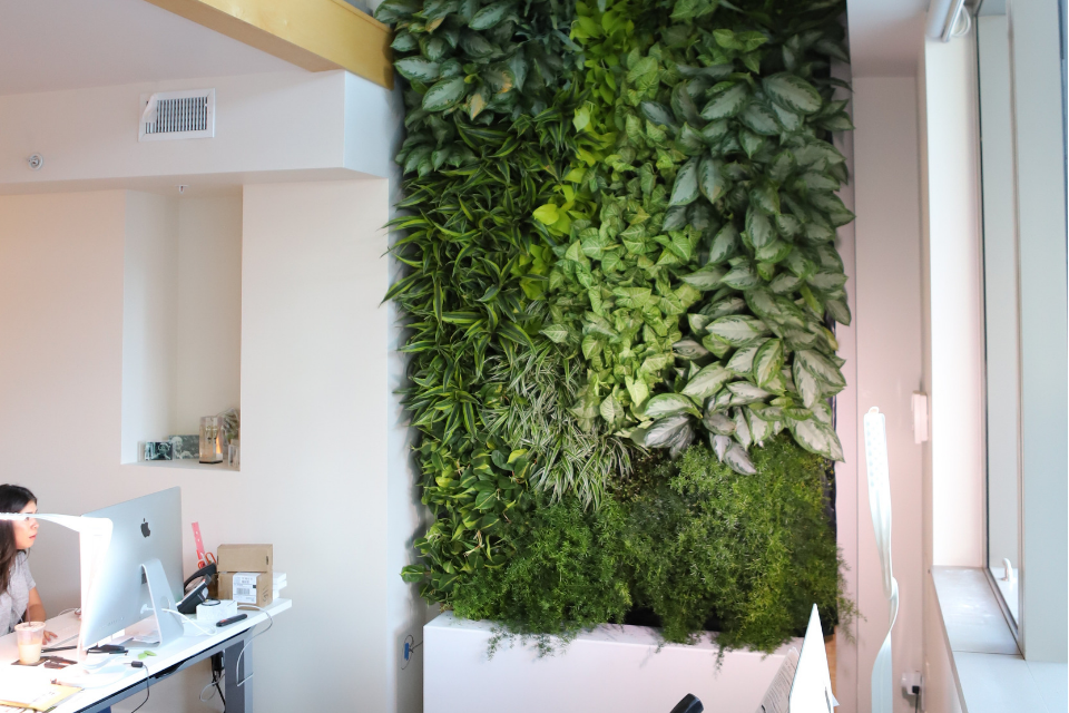You are currently viewing Living Wall Malaysia Explained: How Vertical Greenery Improves Indoor Air Quality and Well-Being