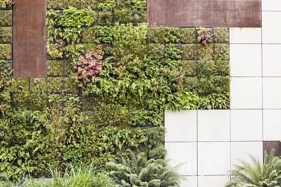 You are currently viewing Green Wall Malaysia: Benefits, Design Ideas and Installation Guide for Commercial & Residential Spaces
