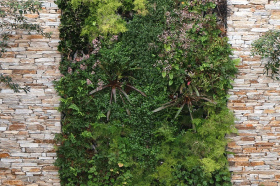 You are currently viewing Choosing the Right Green Wall System in Malaysia for Offices, Hotels and Retail Spaces