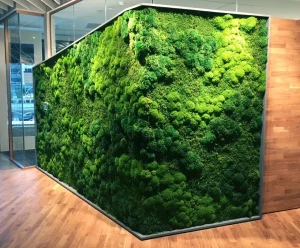Read more about the article Moss Wall Malaysia: A Low-Maintenance Green Wall Solution for Modern Interiors