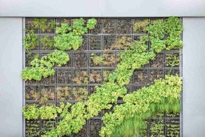 Read more about the article Vertical Garden Malaysia Trends: Sustainable Green Solutions for Urban Spaces