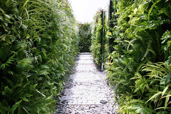 You are currently viewing How Vertical Landscape Design in Malaysia Enhances Property Value and Visual Appeal