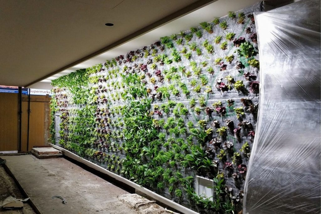 You are currently viewing Vertical Garden System Malaysia: Transforming Urban Spaces with Green Innovation