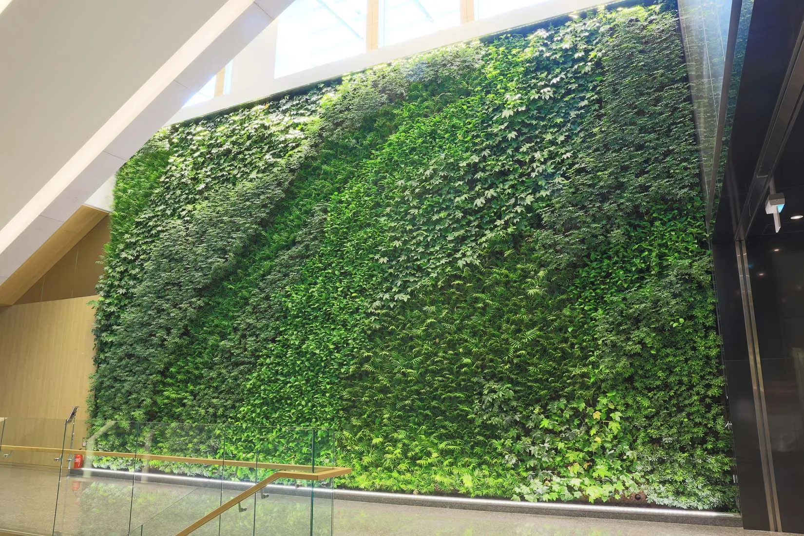 You are currently viewing Vertical Green Wall Systems: Transforming Urban Spaces with Sustainable Design