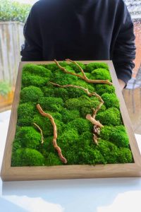 Read more about the article Preserved Moss Wall Malaysia: The Modern Green Wall Solution for Sustainable Interiors