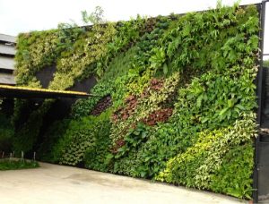 Read more about the article Best Vertical Garden Company Malaysia: What to Look For Before Hiring