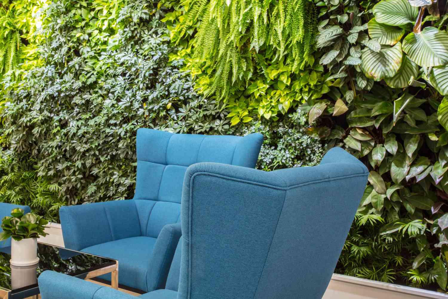 You are currently viewing Vertical Greenery System Malaysia: Smart Green Solutions for Modern Urban Spaces