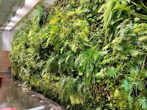 Read more about the article Green Wall vs Vertical Garden: What’s the Difference?