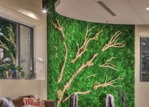 Read more about the article Decorative Moss Wall Malaysia: Transforming Interior Spaces with Natural Green Beauty