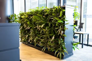 Read more about the article Mobile Green Wall: A Flexible Solution for Modern Green Spaces
