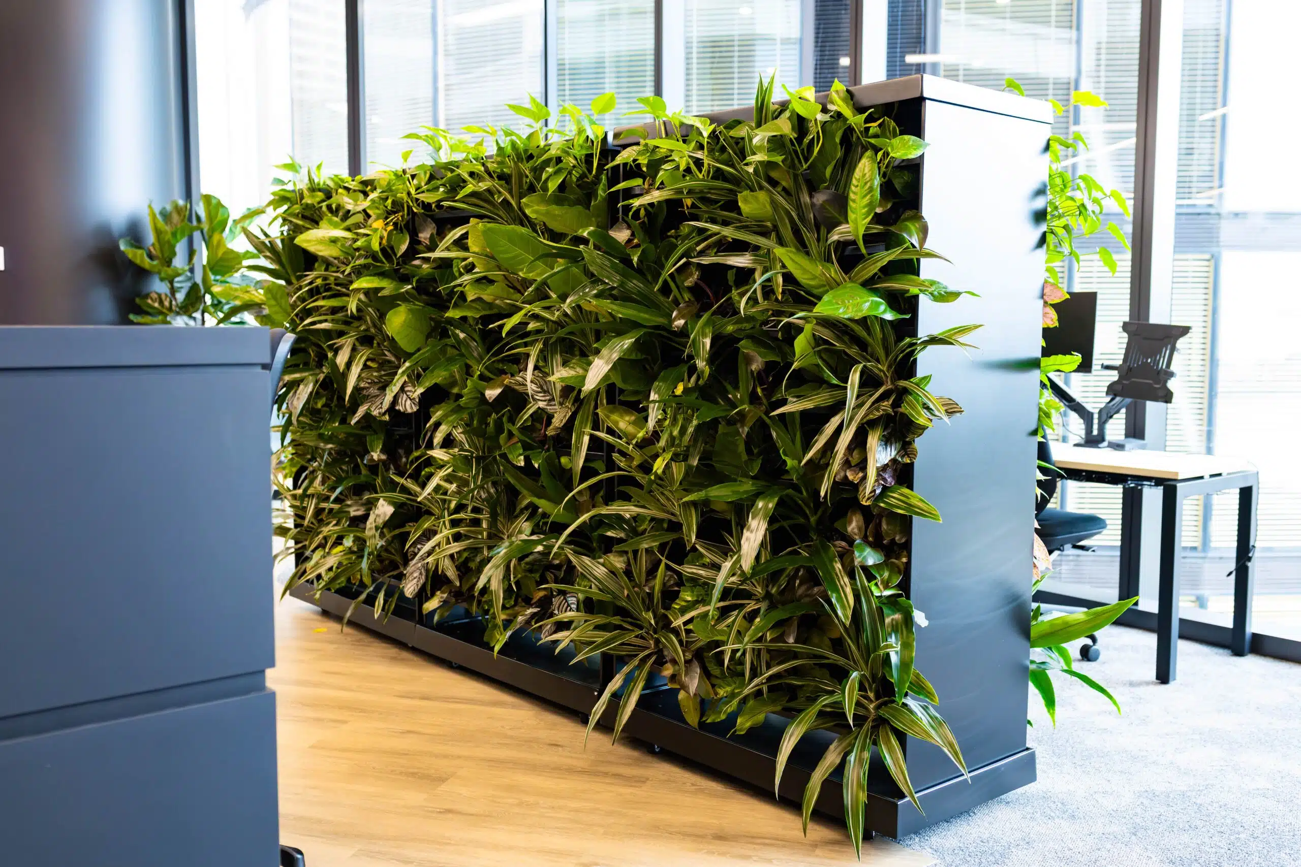 You are currently viewing Mobile Green Wall: A Flexible Solution for Modern Green Spaces