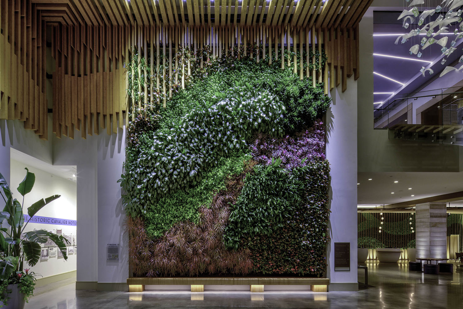 You are currently viewing Commercial Vertical Garden Solutions for Offices