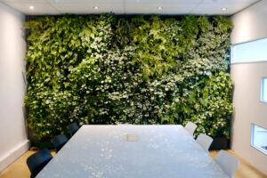 Read more about the article Vertical Garden Malaysia: Complete Guide for Homes and Businesses