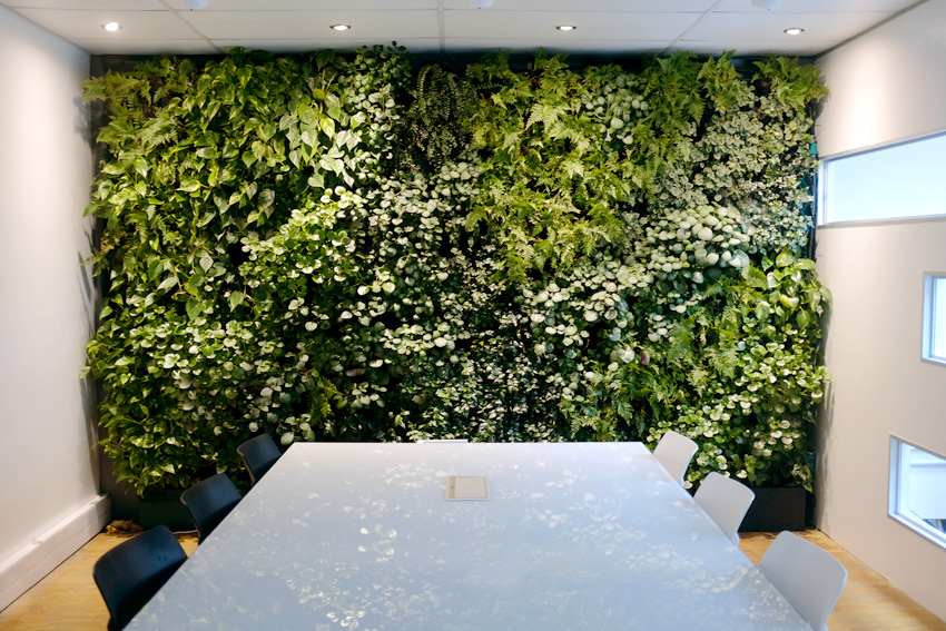 You are currently viewing Vertical Garden Malaysia: Complete Guide for Homes and Businesses